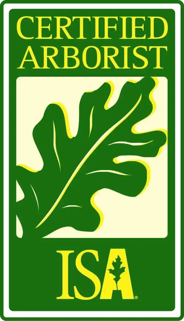 ISA Certified Arborist badge